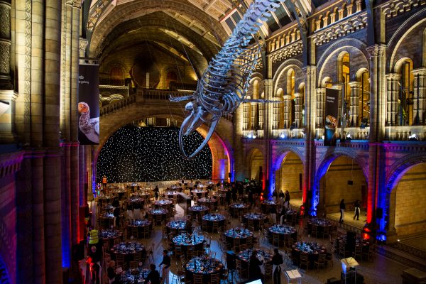 HALL_044_web